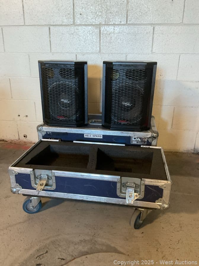 2-apogee-ae-3s2-speakers-in-road-case-617712