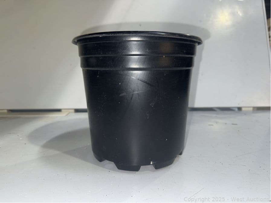 640-pro-cal-2-regular-pot-624605