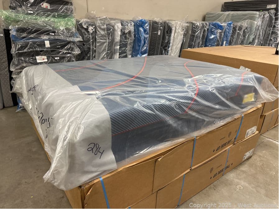 sealy-high-point-ii-hybrid-firm-queen-623183