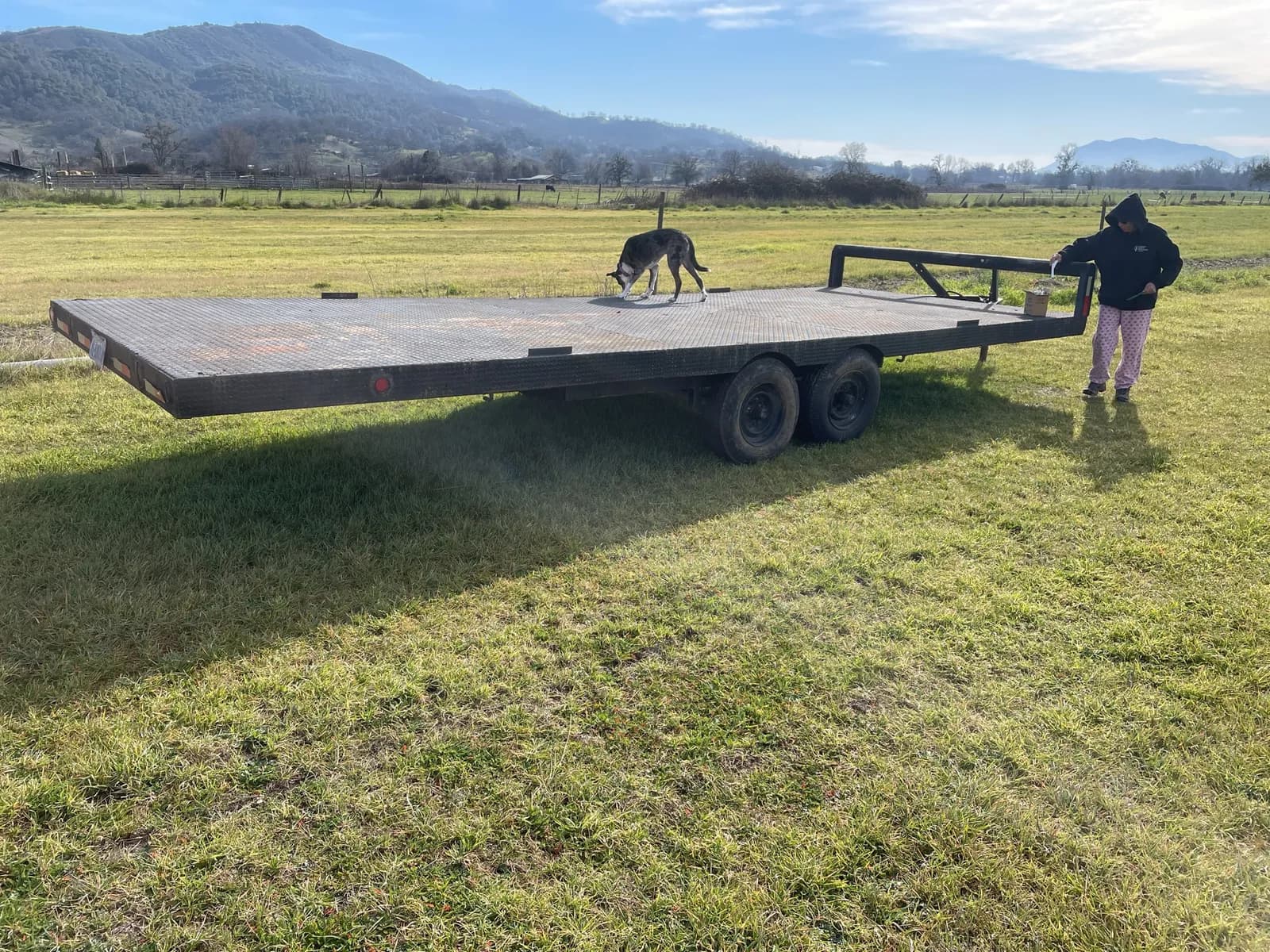 trailer-flat-bed-0efbe1