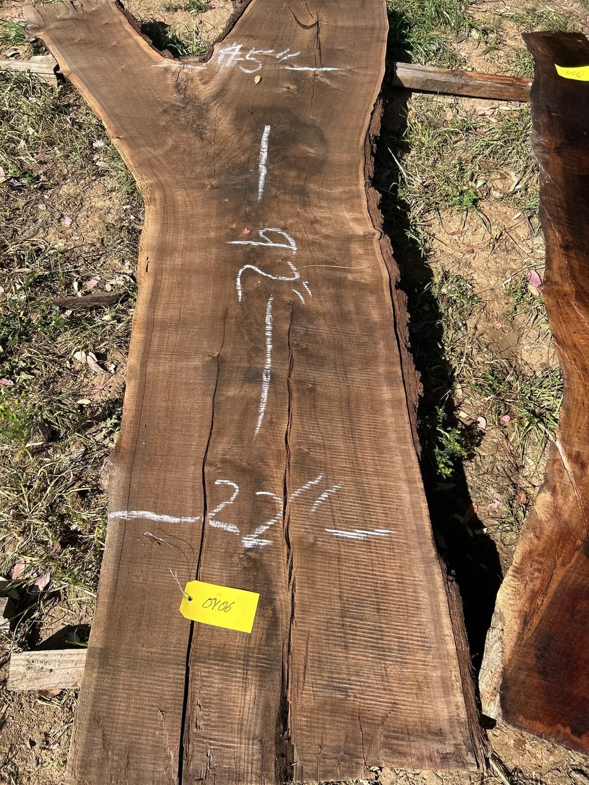 black-walnut-slab-2105f0